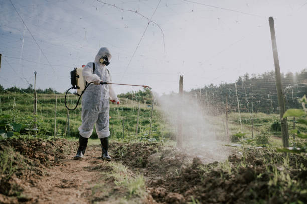 Best Mosquito Control Services  in Good Hope, AL