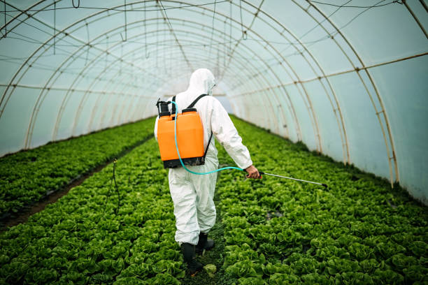 Best Best Pest Control Companies  in Good Hope, AL