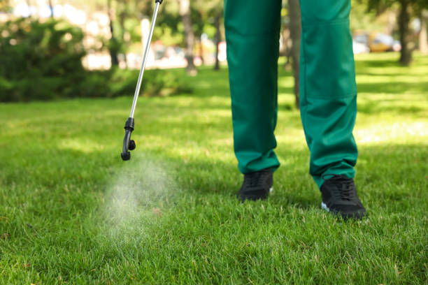 Best Flea Control Services  in Good Hope, AL