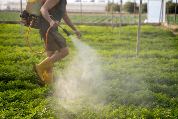Best Exterminator Services  in Good Hope, AL