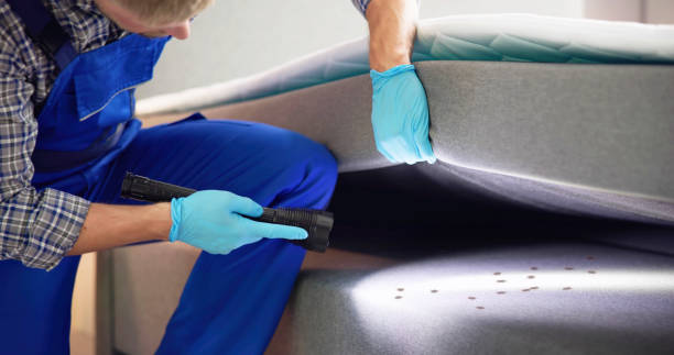 Best Pest Control Near Me in Good Hope, AL